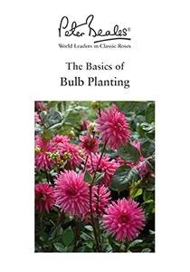Bulb_Planting_Guide