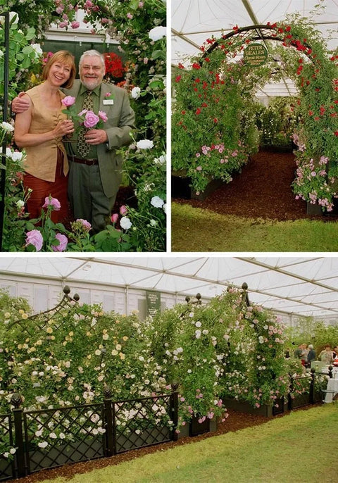 Chelsea_2002_St_Ethelburga_LOW_RES