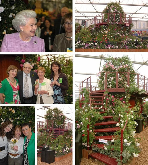 Chelsea_2008_LOW_RES