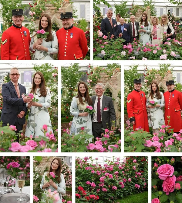 Chelsea_2016_Sandringham_Launch_LOW_RES