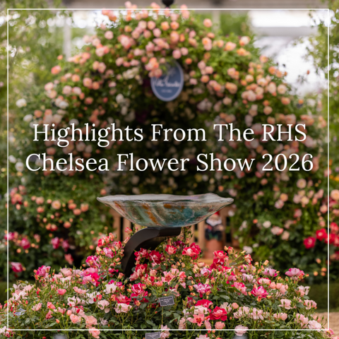 Highlights From The RHS Chelsea Flower Show 2026