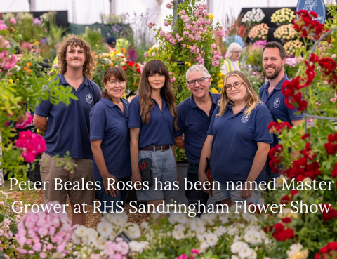 Peter Beales Roses Has Been Named Master Grower at The RHS Sandringham Flower Show 2026