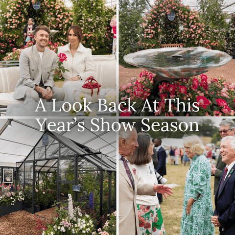 A Look Back At This Year's Show Season