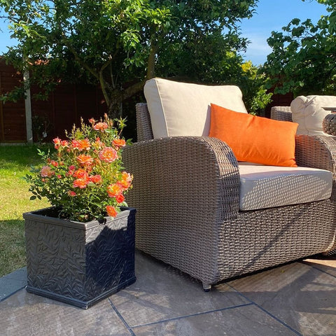 Potted rose plant with orange blooms beside a patio chair on a stone deck
