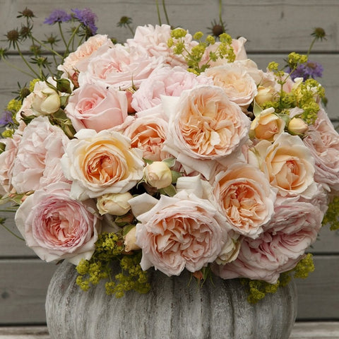 Pale pink and cream rose bouquet in round planter with small purple and green blooms