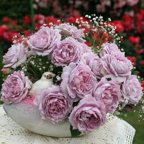 Bouquet of pale pink roses in a white bowl with small filler flowers