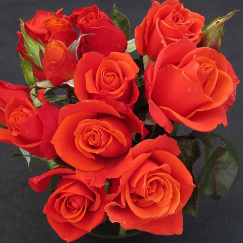 Orange and red rose bouquet with multiple blooms and green leaves
