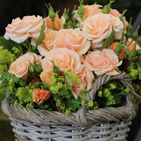 Rose bouquet in woven basket with peach blooms and green foliage