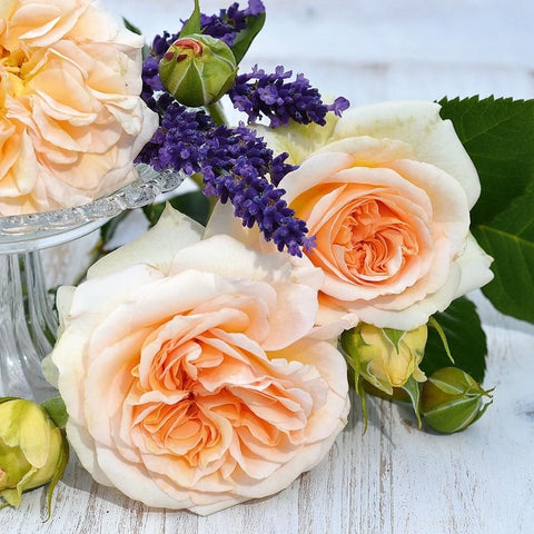 Bouquet of cream rose flowers with orange centers, green leaves and purple accents