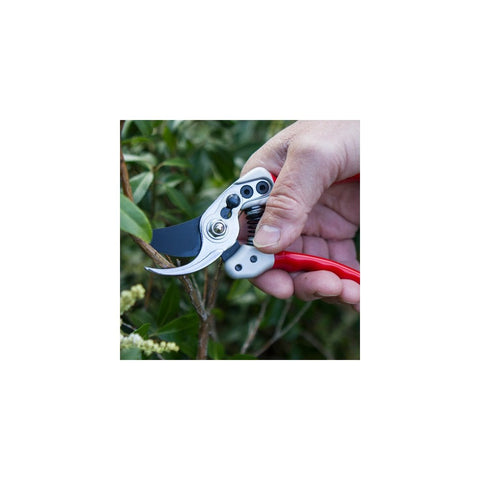 Small bypass pruning tool with red handle and blue steel blades