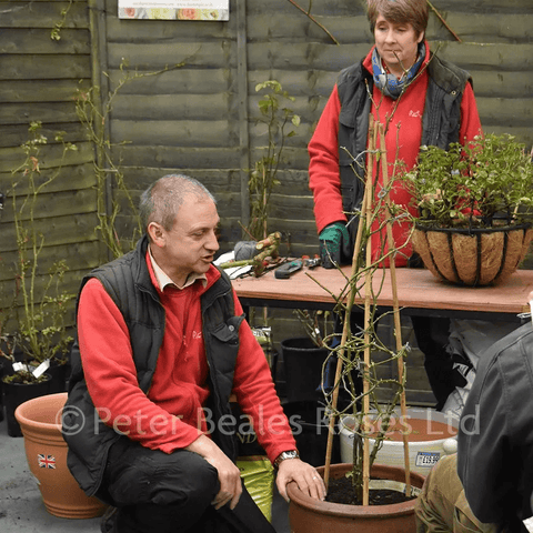 Planting and pruning workshop attendees working with potted plants and garden tools near pots
