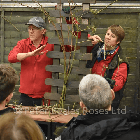 Planting and pruning workshop instructor pointing while attendees observe pruning techniques