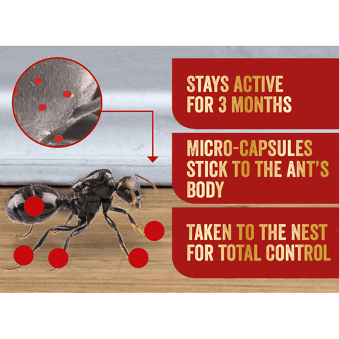 Ant Killer Plus spray infographic with ant and micro-capsules, stays active 3 months