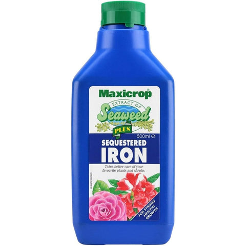 Maxicrop Seaweed Plus sequestered iron liquid plant feed in blue bottle, 500 ml