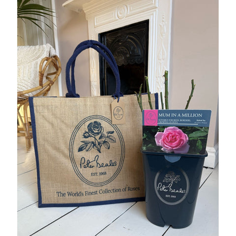 Jute tote bag with navy handles and rose logo patch, plus boxed pink rose gift