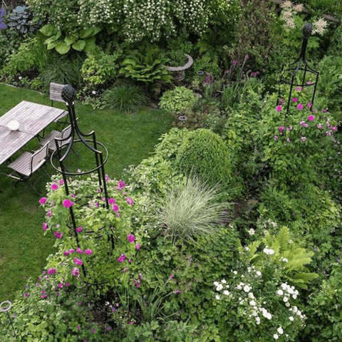 Tall black metal obelisk trellis with rounded finial, curved base ring, and lattice