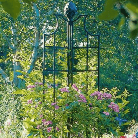 Black wrought-iron rose obelisk with curved scrolls and tiered lattice, topped finial