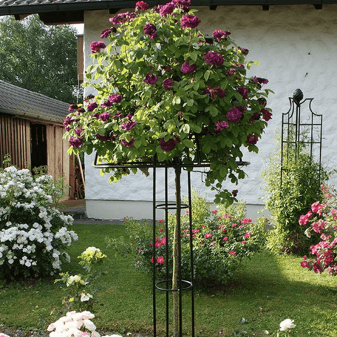 Black metal umbrella support stand with tall frame and circular base in yard