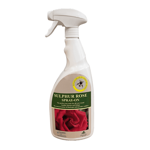 White spray bottle with trigger, Sulphur Rose Spray-on RTU label and red rose graphic