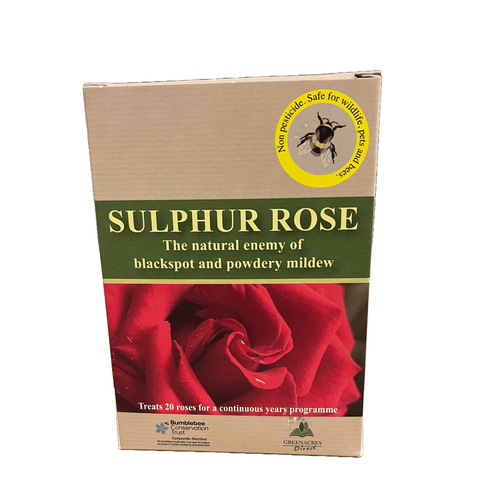 Cardboard box labeled Sulphur Rose with red rose illustration and yellow safety seal