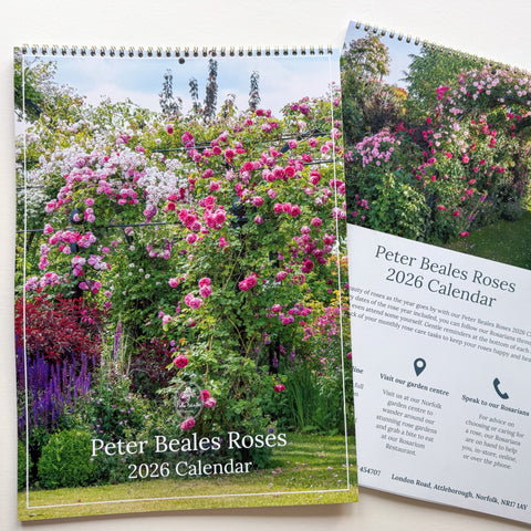 Roses 2026 wall calendar with garden flowers; one page shows "2026 Calendar" details.