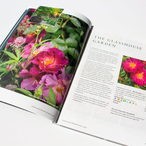 Peter Beales rose catalogue open spread with magenta and pink rose photos, garden section