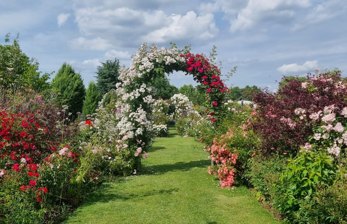 Rose Gardens