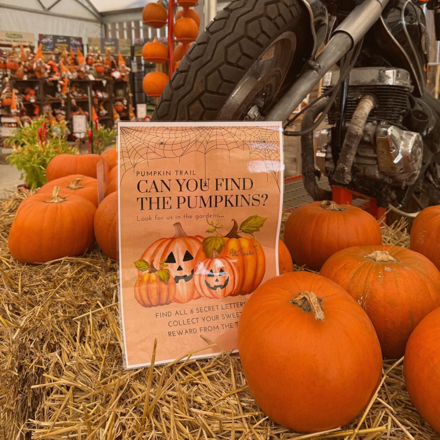 Kids Pumpkin Trail