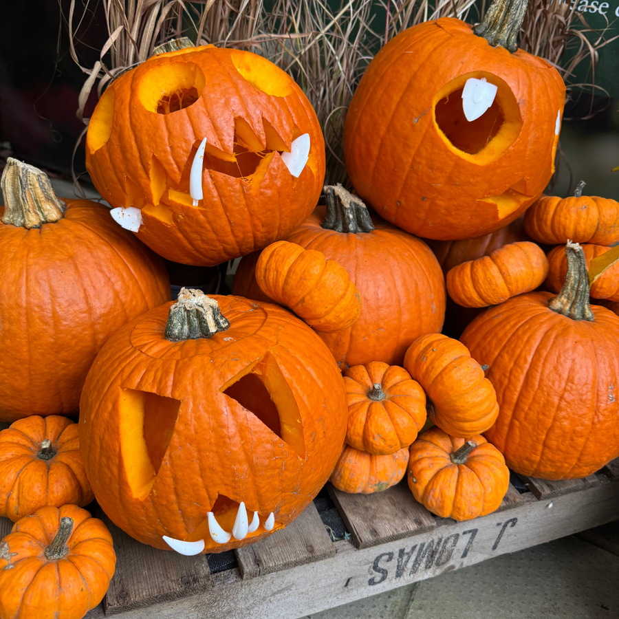 Kids Pumpkin Workshop