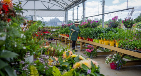 Our Garden Centre