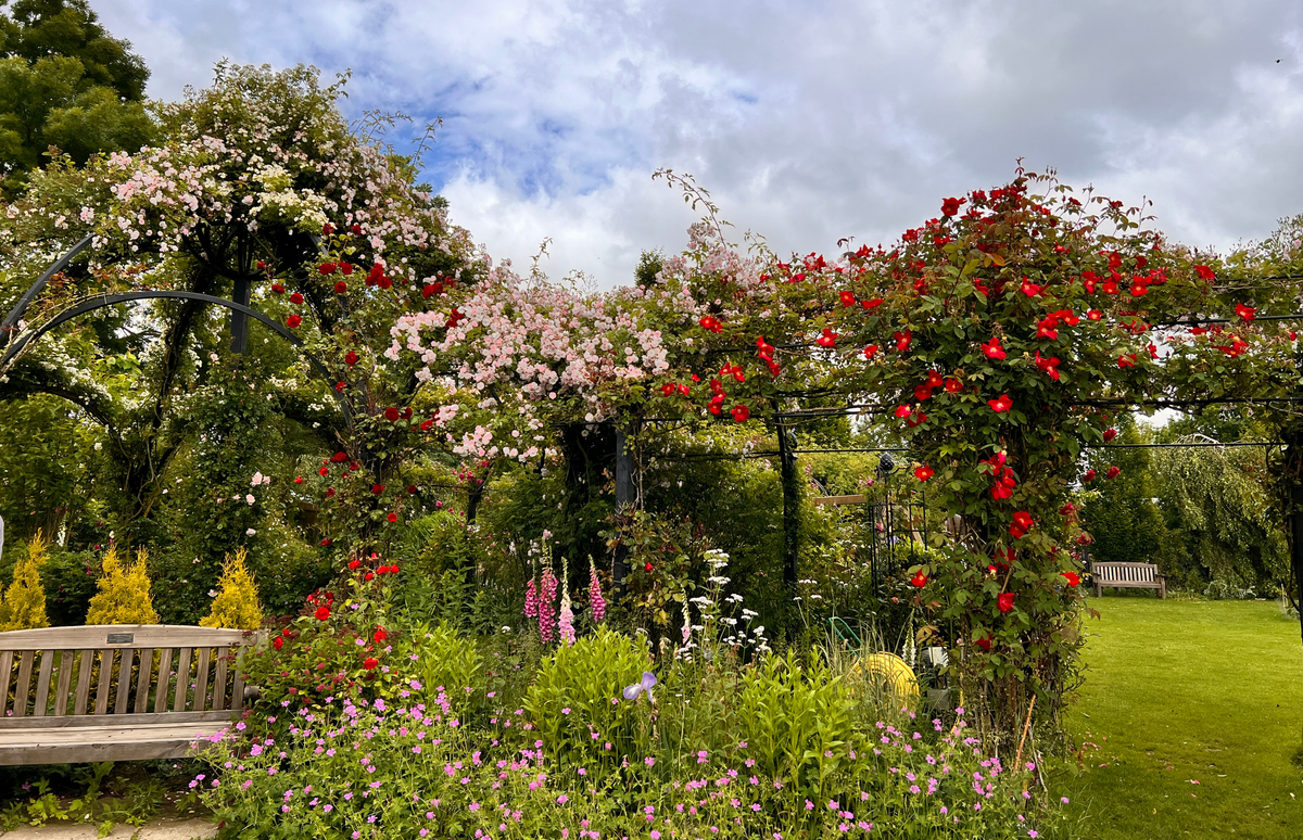 Rose Gardens