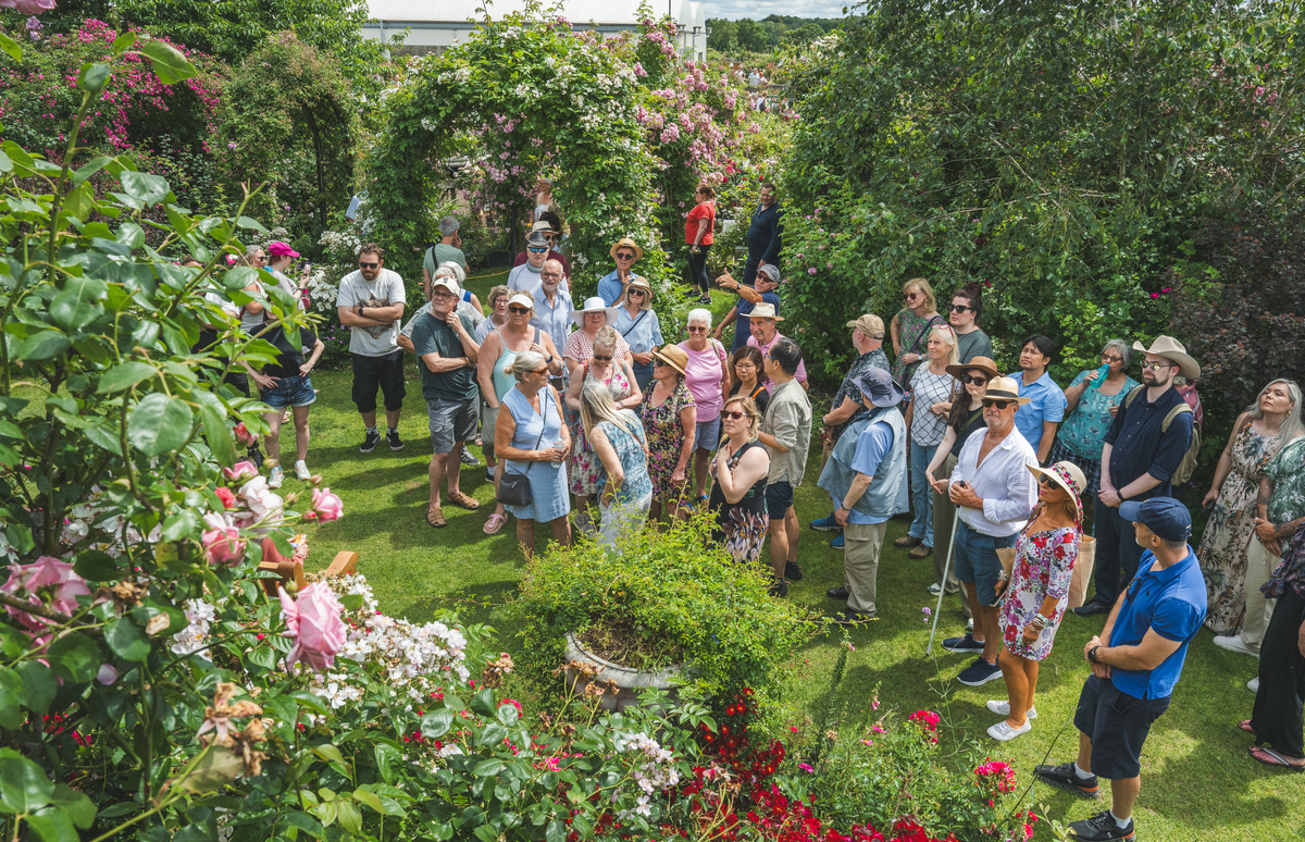 Rose Festival