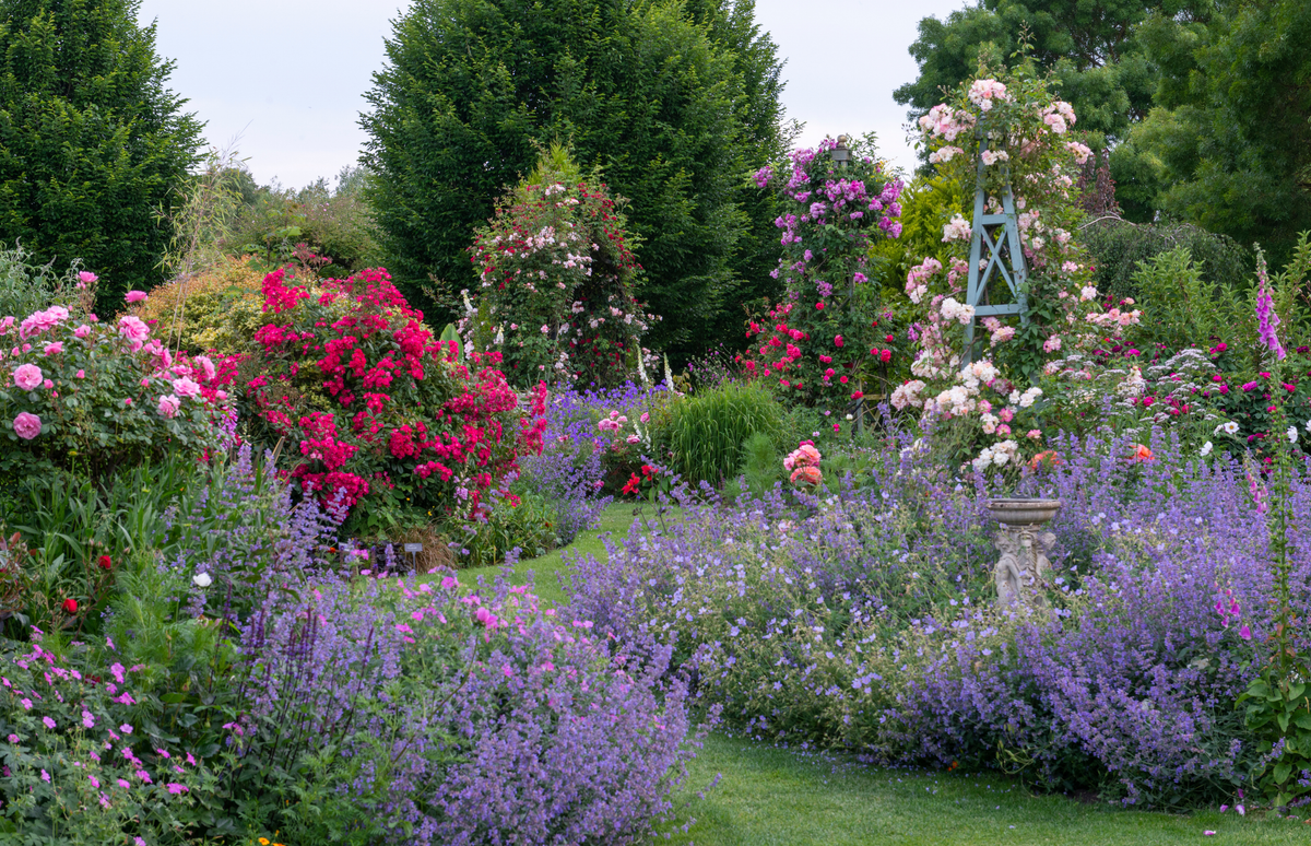 Rose Gardens