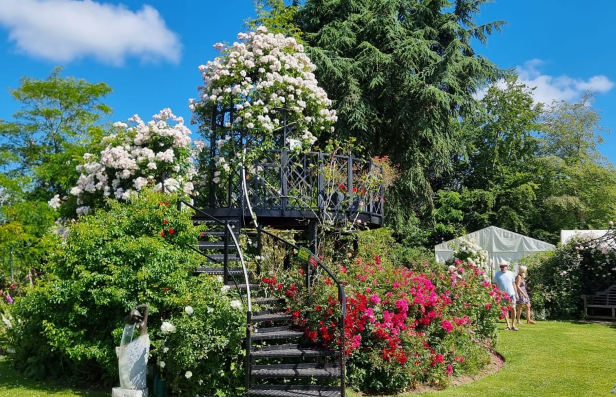 Rose Gardens